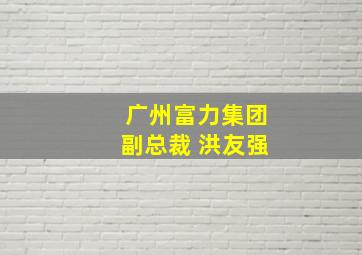 广州富力集团副总裁 洪友强